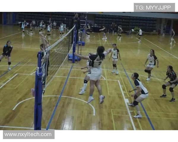 深圳排球队战术揭秘：排球巨献背后的团队智慧与竞技魅力